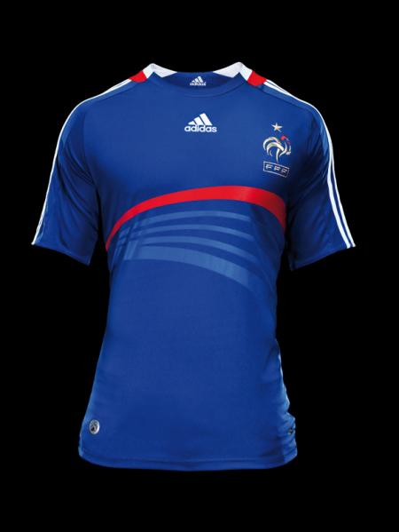 Selectionneur equipe de france